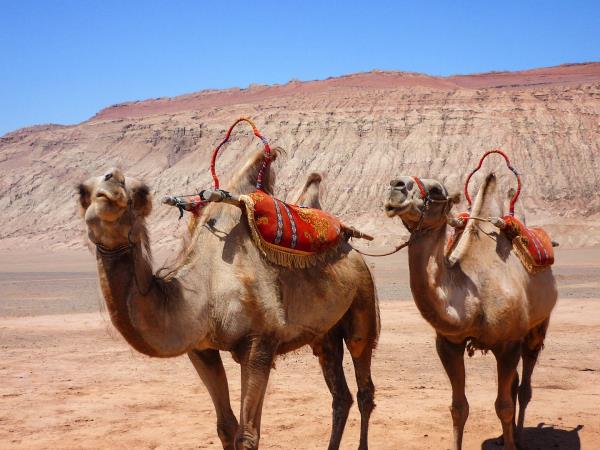 China Silk Road vacation, Xi�an to Kashgar