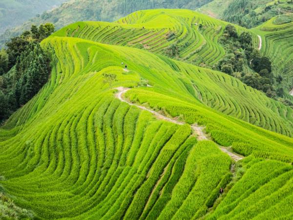 Southwest China vacation, Guilin to Shangri-La