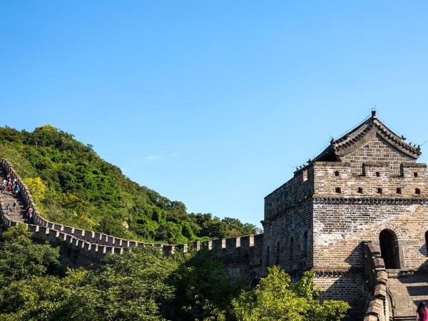 China overland vacation, Tibetan Plateau & pandas