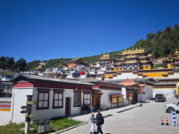 China overland vacation, Tibetan Plateau & pandas