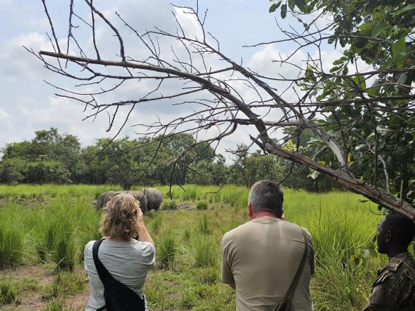 Gorilla and game safari in Uganda 