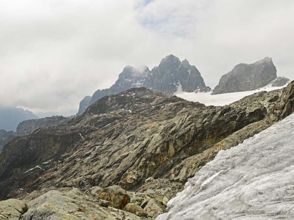 Gorilla and Rwenzori expedition in Uganda