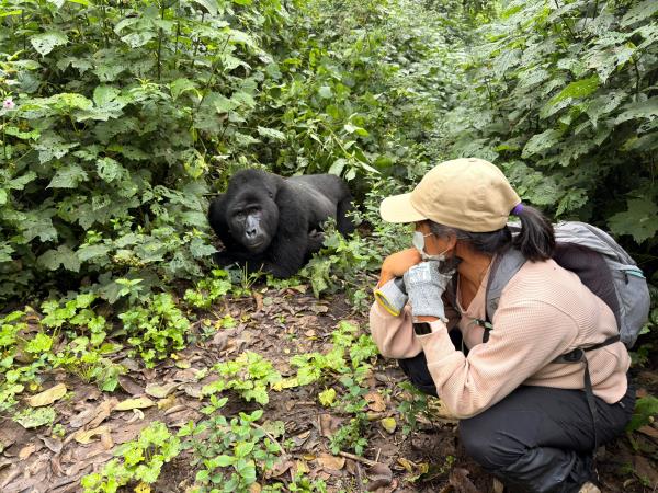 Gorilla and Rwenzori expedition in Uganda