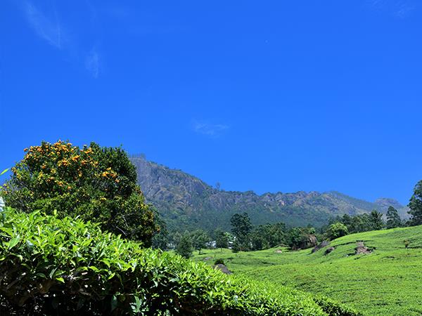 Walking and cycling vacation in Kerala, India