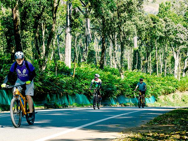 Walking and cycling vacation in Kerala, India