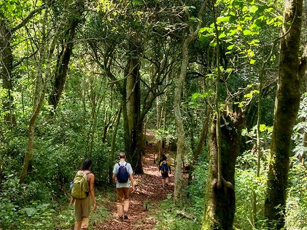 Walking and cycling vacation in Kerala, India