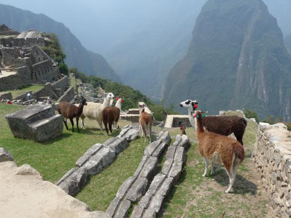 Machu Picchu & Sacred Valley vacation from Lima