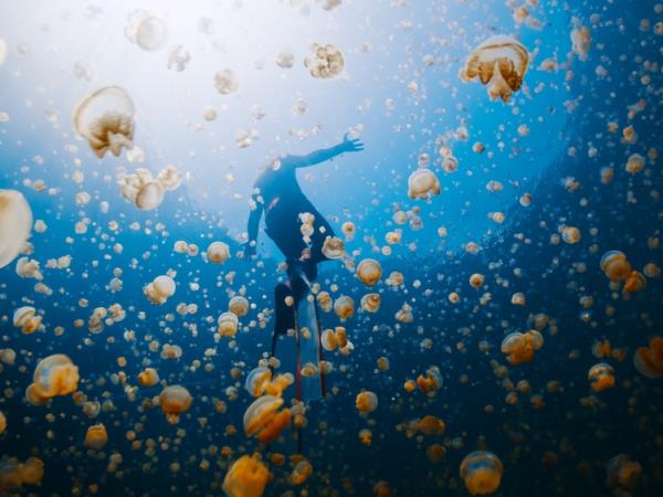 Luxury Japan tour with Raja Ampat cruise 