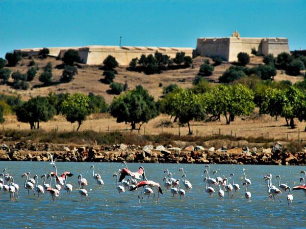 The Algarve and Andalucia easy hiking vacation
