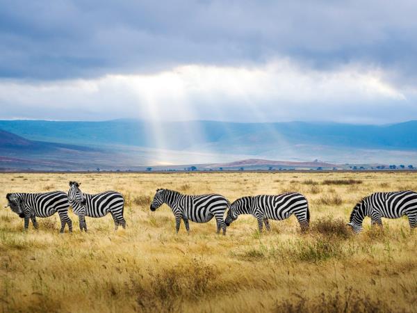 Tanzania and Zanzibar luxury tailor made tour
