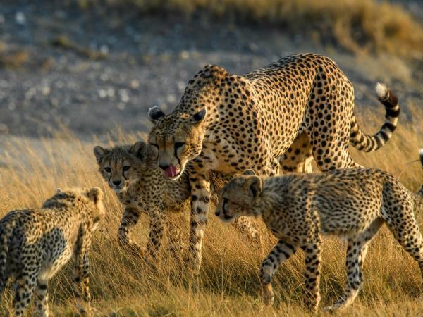 Tanzania and Zanzibar luxury tailor made tour