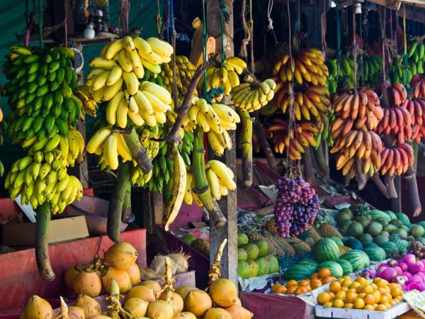 Sri lanka food  vacation, small group