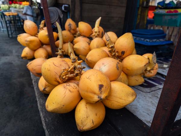 Sri lanka food  vacation, small group