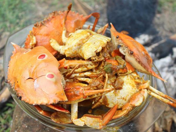 Sri lanka food  vacation, small group