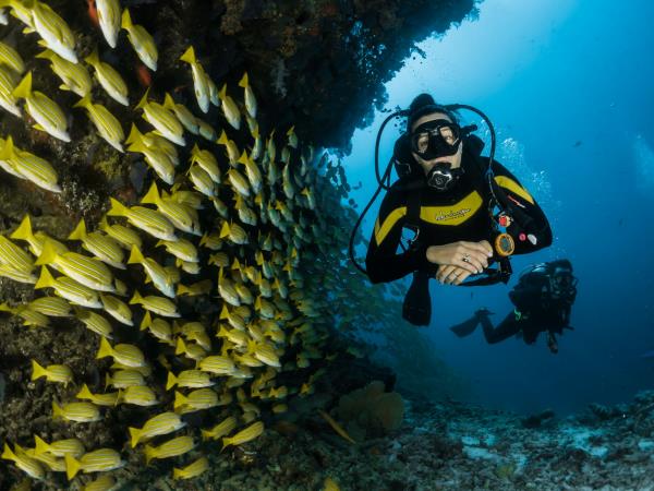 Maldives uncovered, island hopping tour