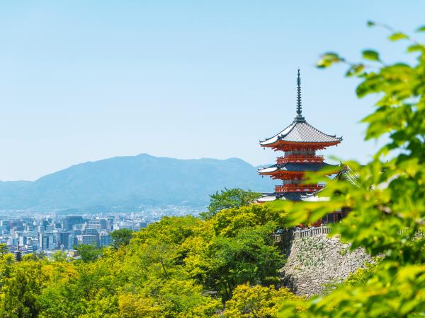 Japan classic tour by rail 