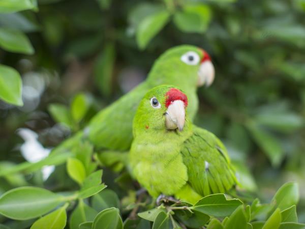 Best of Nicaragua overland vacation, tailor made
