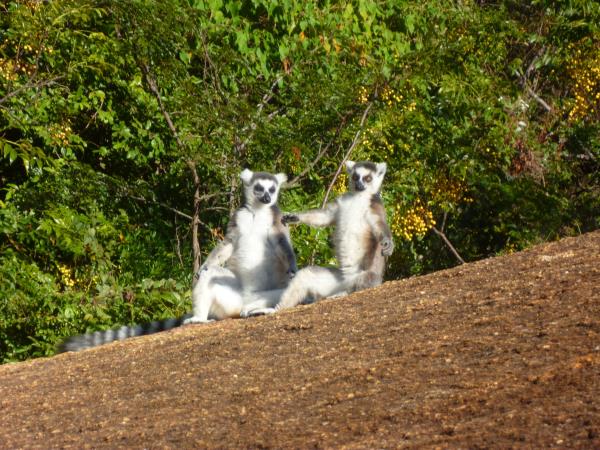 Madagascar private tour, tailor made