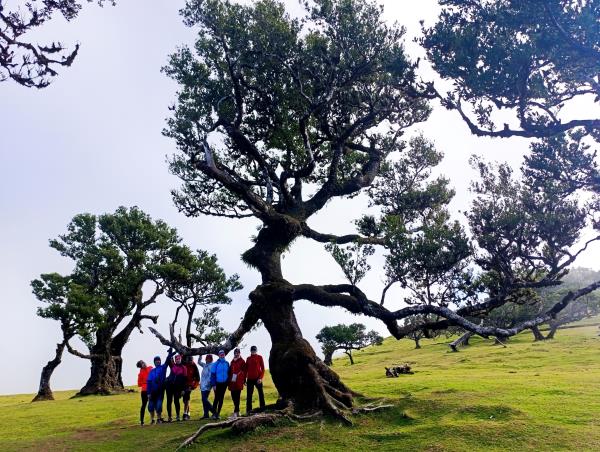 Madeira small group vacation