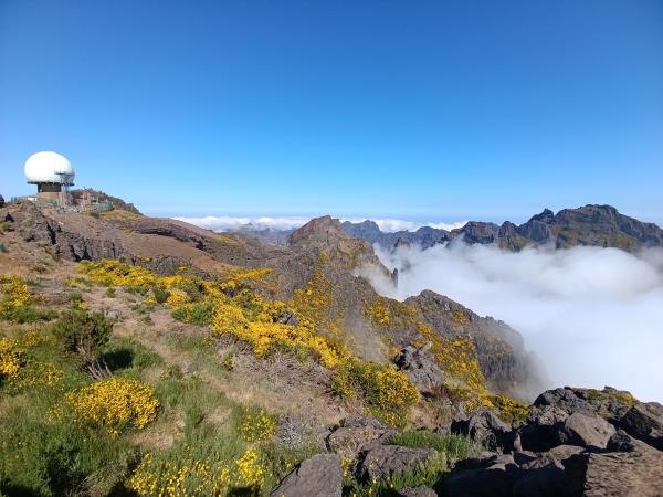 Madeira small group vacation