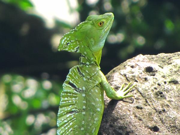 Family vacation in Nicaragua, tailor made