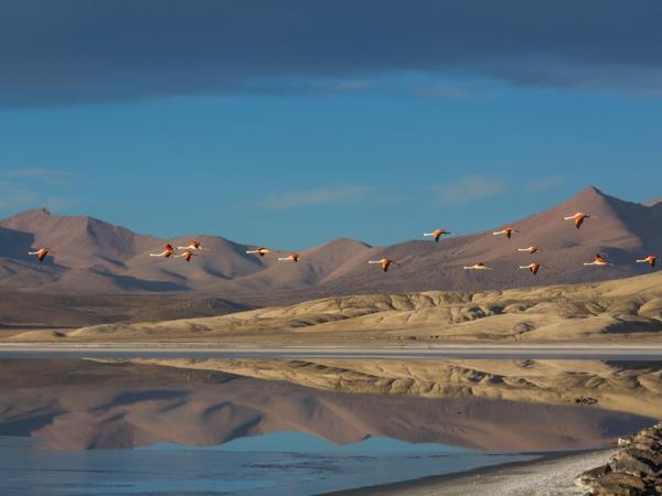 Chile and Bolivia luxury tour, Santiago to La Paz 