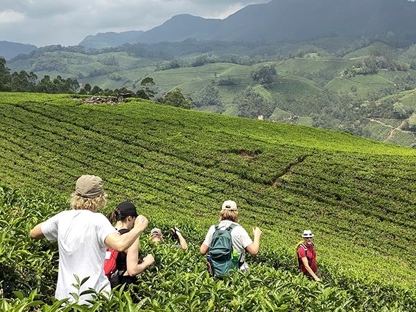 Western Ghats walking tour in India