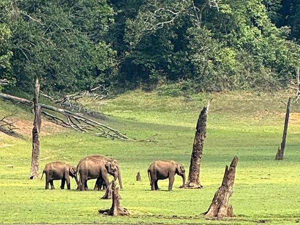 Western Ghats walking tour in India
