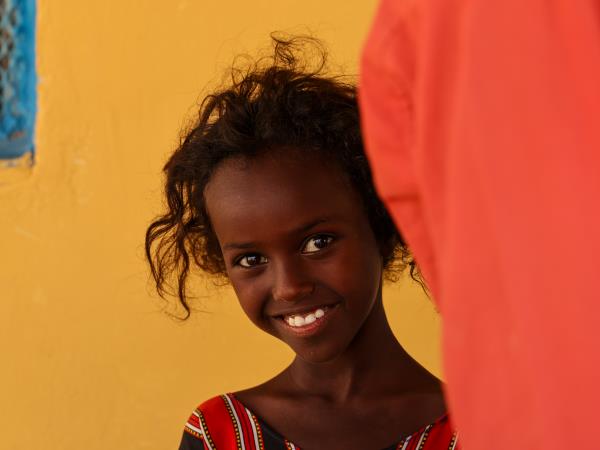 Djibouti, Somaliland and Somalia tour
