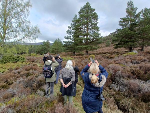 Cairngorms and coast wildlife vacation, Scotland