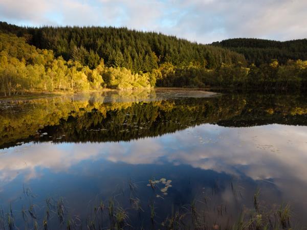 Scotland wildlife vacation