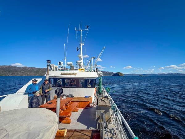 Norwegian fjords whale watching vacation