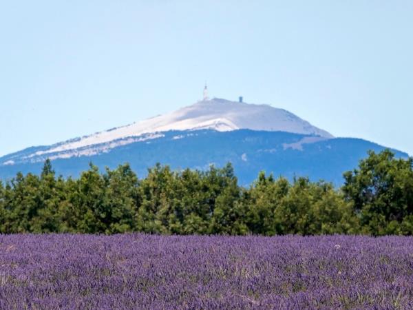 France cycling vacation, Tour De France