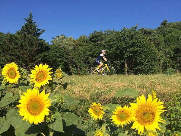Rhone Valley cycling vacation, Tour De France