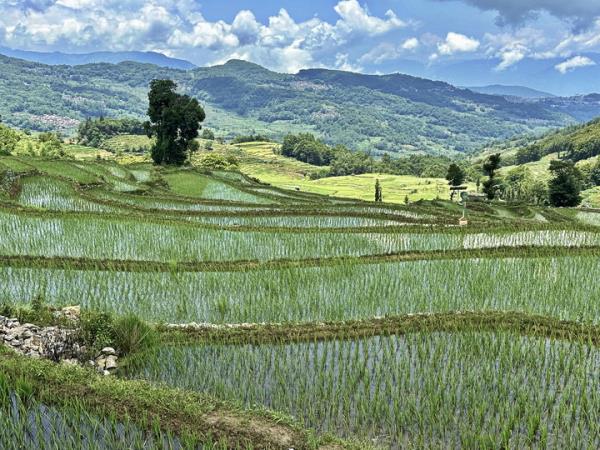 North Vietnam and Yunnan small group tour 