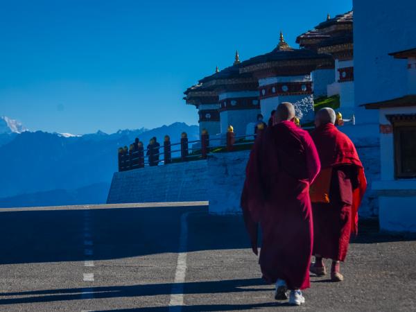 Nepal and Bhutan express tour