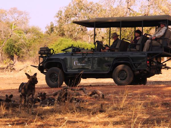 Zambia luxury safari vacation