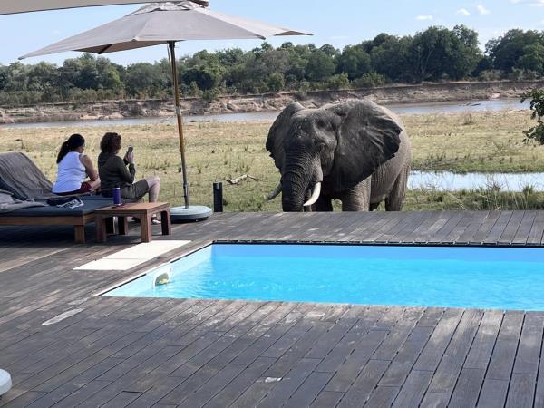 Zambia luxury safari vacation