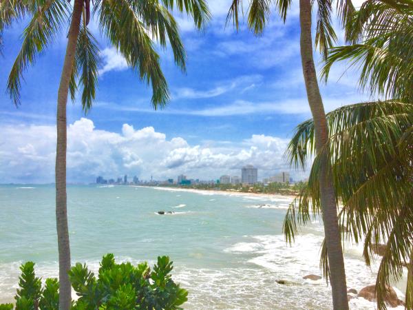 Vegan vacation in Sri Lanka 