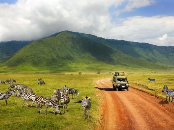Tanzania safari and Zanzibar beach vacation