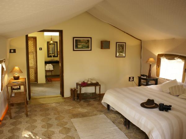 Central India vacation, culture and wildlife