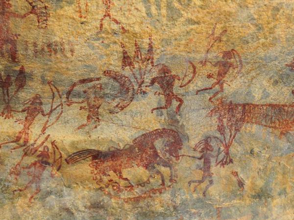 Central India vacation, culture and wildlife