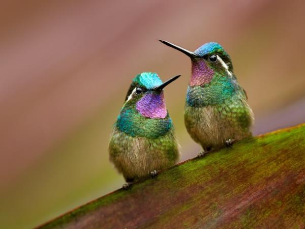 Costa Rica honeymoon, off the beaten track