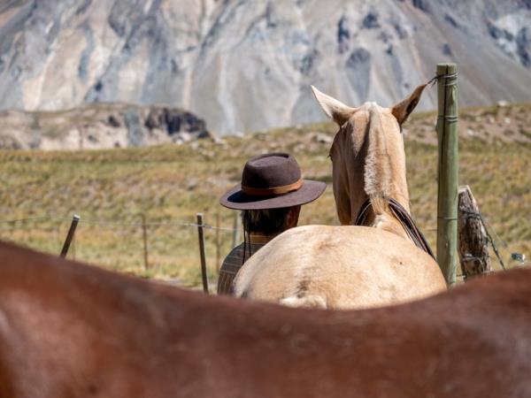 Honeymoon in Argentina