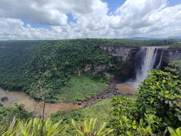 Guyana wildife and nature tour