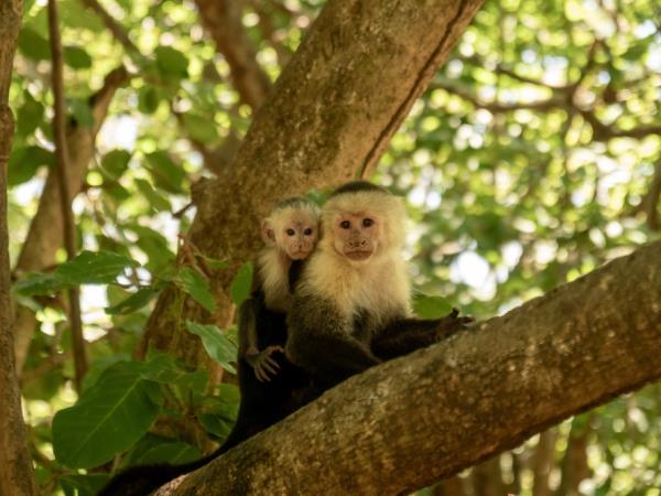 Costa Rica Caribbean coast vacation