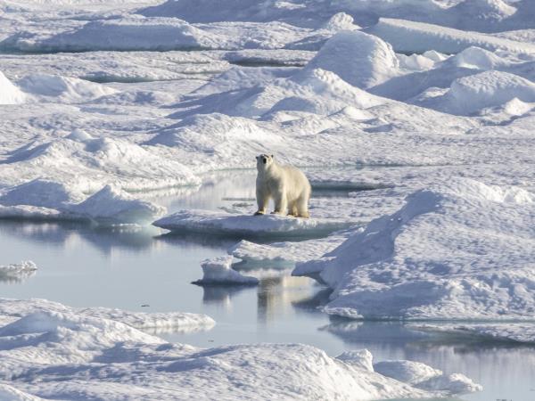 Complete Northwest Passage expedition cruise