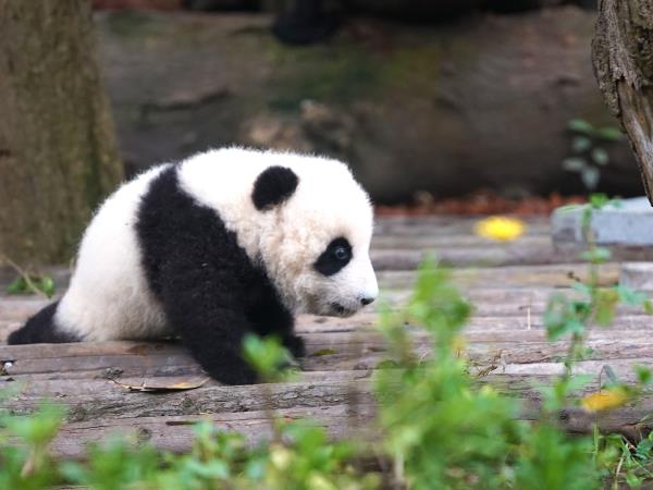 China active & cultural vacation, 16 days