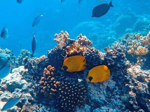 Thailand private culture and adventure tour