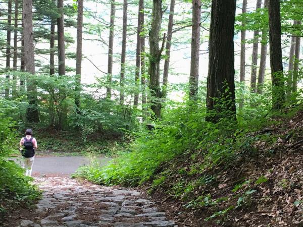Classic Japan vacation with Nakasendo Trail